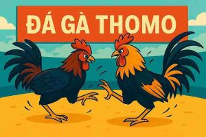 Đá Gà Thomo FK22 - Trải Nghiệm Đỉnh Cao Cùng FK22